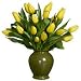 Tulip - Twist of Lemon