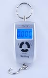 Newton Professional Portable Electronic Hanging Scale Grey 45kg/10g with Backlight