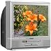 Haier TCF20 20-Inch CRT TV with Built-In DVD Player, Silver