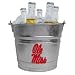 One Gallon galvanized Ice Bucket with 2 1/2 inch metal applique could also be used as a planter.