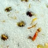 Epsom Salt Sore Muscle Rescue - Organic luxury at home spa treatment - immerse yourself in an energizing bath recipe of kaolin clay, five essential oils, blue chamomile, calendula and oatmeal to detox and relieve stress - Satisfaction Guarantee