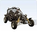 1000cc Go Kart 2 Seats Free Shipping