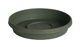 Fiskars 51416 16-Inch Terratray Planter Tray, Thyme Green