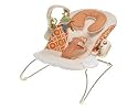 Fisher Price P9041 Dreamsicle Collection Heartbeat Bouncer