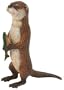 Incredible Creatures: N American River Otter holding Trout
