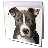Dogs Pitbull - American Pit Bull Terrier Puppy - Greeting Cards-6 Greeting Cards with envelopes