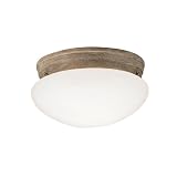 Kichler 209OB Ceiling Space 2 Light Olde Brick Flush Mount,