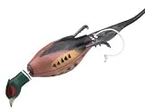 Dokken Dead Fowl Trainer Pheasant