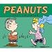 Office Products : Peanuts 2009 Desk Calendar
