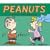 Peanuts 2009 Desk Calendar