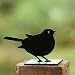 Garden Ornament, Fence Post Finial - Robin