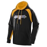 Fanatic Hooded Sweatshirt - BLACK AND GOLD - X-SMALL
