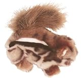 CAT CHIPMUNK