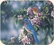 Fiddlers Elbow Bluebirds Mouse Pad Bird