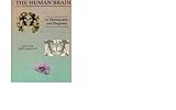 The human brain : in photographs and diagrams
