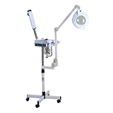 Chani Facial Steamer & Massage Brush With Magnifying