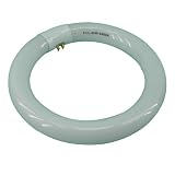 Normande Lighting NFS22WCT9 22W Daylight Circular Bulb