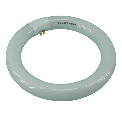 Normande Lighting NFS22WCT9 22W Daylight Circular Bulb
