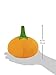 P.L.A.Y. Cute Plush Dog Toys - Fruit & Vegetable Themed Durable Squeaker Chew Toy, Great for Puppies & Small, Medium, Large Dogs - Machine Washable, Recycled Materials (Garden Fresh Pumpkin, Medium)