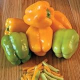 Pepper Seeds - Pepper Flavorburst Hybrid