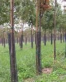 Tree Bark Protectors - 36 Inch