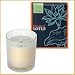 Bloom of LOTUS �t���O�����X�L�����h���@�W���X�~�� 150g