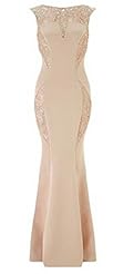 Sexy Sleeveless Polyester/Spandex Lace Mermaid Club Dress/Evening Dress 