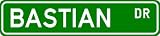 BASTIAN Street Name Sign ~ Personalized Family Lastname Sign ~ Gameroom, Basement, Garage Sign