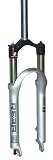 Rockshox Reba Race Dual Air 2008 100mm, Disc Silver