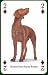 The Heritage Dogs of the World Playing Cards