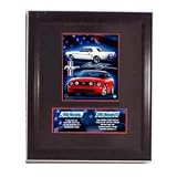 Old and New Mustangs Stat Frame