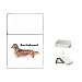 dachshund7 - Dachshund Long Haired Flip Top Lighter