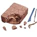 Educational Insights Dino Digs Set- Velociraptors