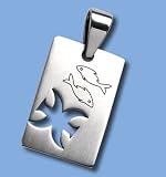 Stainless Steel Pendant - Etched Zodiac Design - Pisces