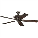 Progress Lighting Air Pro Ceiling Fan P2532-20 Roman Bronze
