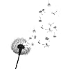 Dandelion temporary tattoo by Inkwear
