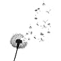 Dandelion temporary tattoo by Inkwear by Inkwear
