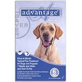 Advantage for Dogs 55-100 lbs, Blue 12 Pack