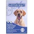 Advantage for Dogs 55-100 lbs, Blue 12 Pack