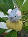 Mouse on Rice Bale