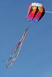 Into The Wind Parafoil 5 Kite