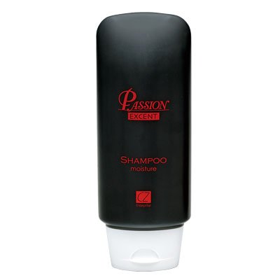 パッションエクセントシャンプーモイスチャ【洗髪してもすぐに臭う方に！備長炭の吸着シャンプー乾燥髪用】