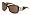Tortoise with Brown Lens with Brown lenses