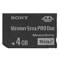 Sony 4 GB Memory Stick PRO Duo Flash Memory Card MSMT4G