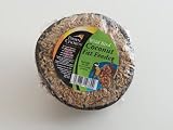 Dawn Chorus Coconut Fat Feeder For Wild Birds (1 pack)