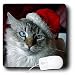 Holidays - Christmas Cat - Mouse Pads