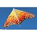 Flame Gayla Trendsetter Delta Kite