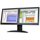 DoubleSight 17-Inch LCD Monitor (DS-1700S)