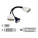 AOpen DVI to DVI and VGA Split Cable