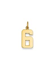 The Athletic Medium Polished Number 6 Pendant in 14K Yellow Gold